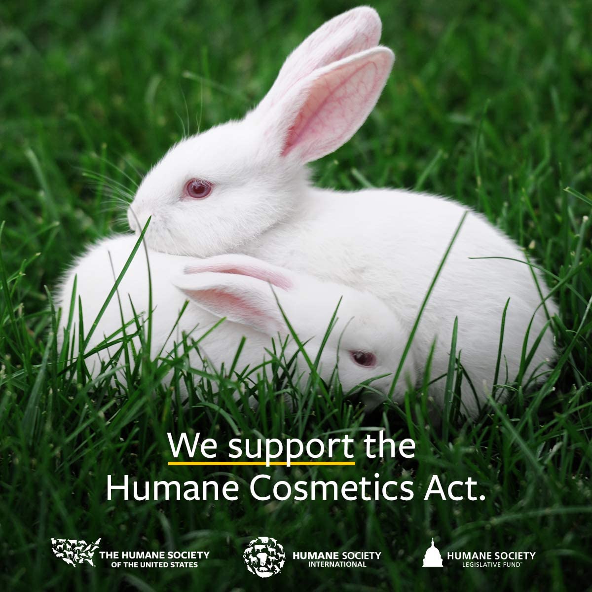 US Organic Mosquito Repellent Anti Bug Outdoor Pump Sprays, Travel Size, Cruelty Free, Proven Results by Lab Testing, Deet-Free 2 fl oz